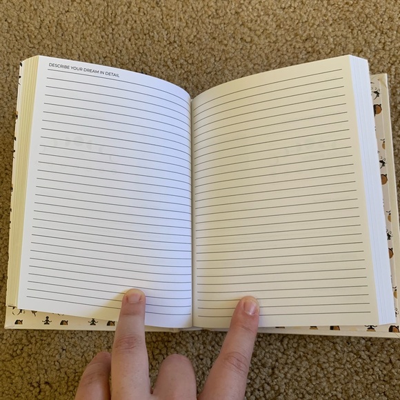 Dream Journal By Danica Gin - Thought Catalog Books - Picture 9 of 10